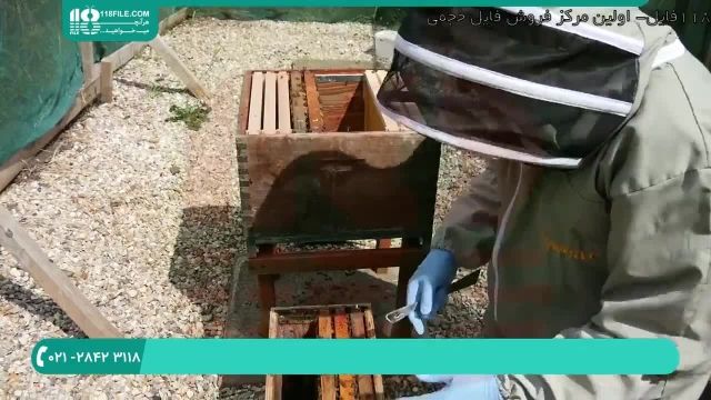 آموزش زنبورداری در فواصل مختلف سال