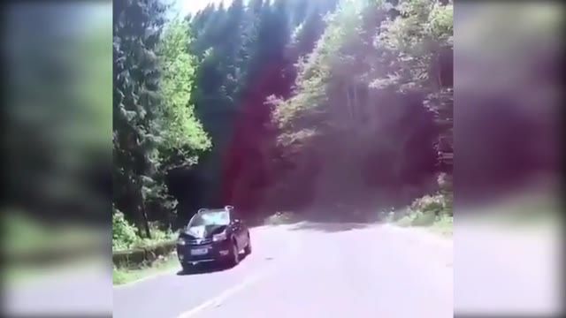 برخورد عجیب خودرویی  با اسبی در جاده !