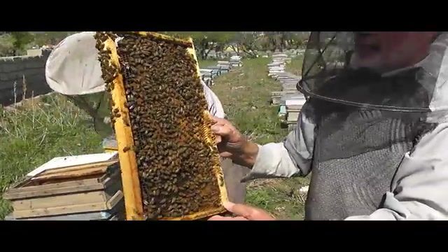 انواع عسل از نظر نوع گل(عسل طبیعی نصیری digiasal.com)