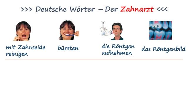 آموزش ساده و آسان زبان آلمانی - آموزش لغات دندان و دندانپزشکی1
