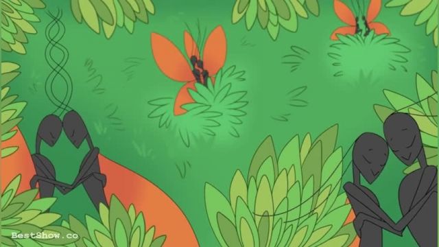 انیمیشن رومانتیک و عاشقانه‌ی عنکبوت و پروانه