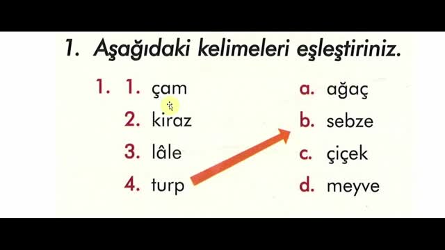 آموزش زبان ترکی استانبولی ازمبتدی تاپیشرفته - بخش 52 - درختان و میوه هازبان ترکی
