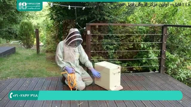آموزش زنبورداری با روش های نوین