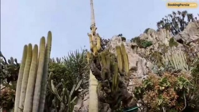 باغ عجایب موناکو، باغی شگفت انگیز در فرانسه - بوکینگ پرشیا