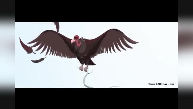 انیمیشن کوتاه Bird of Prey