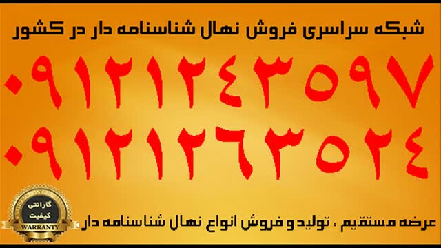 قیمت گردوی پدرو زودبازده  / 09121263524 - 09121243597