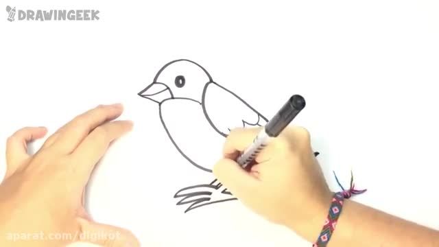آموزش نقاشی به کودکان - طراحی پرنده گوچک 