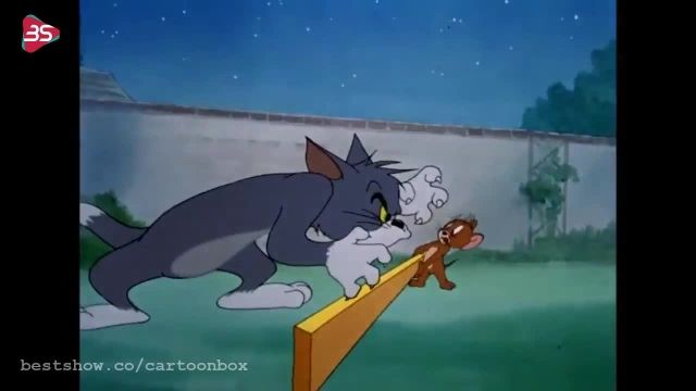 ماجراهای تام و جری {Tom and Jerry}