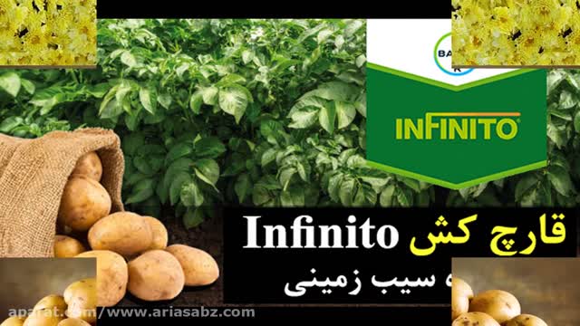 قارچ کش خارجی صددرصد تضمینی | ویژه مزارع سیب زمینی | Infinito