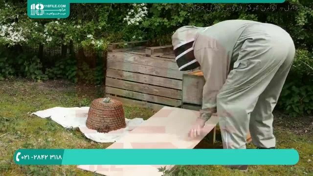 پرورش زنبورهای عسل - 118فایل