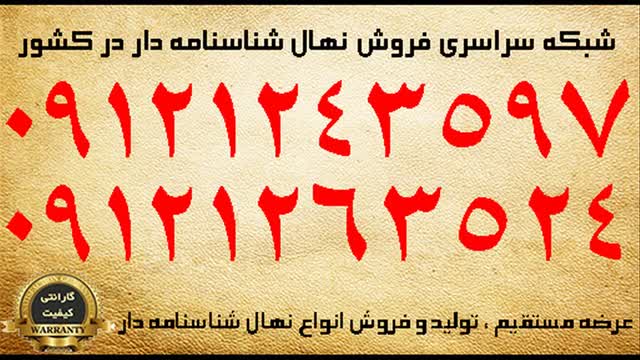 قیمت نهال گردو پدرو پیوندی  / 09121263524 - 09121243597