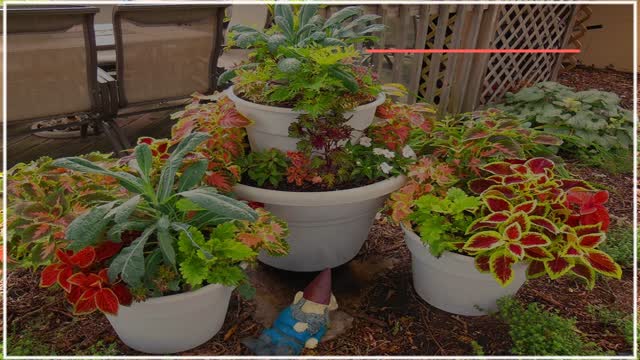 آموزش پرورش و نگهداری گل و گیاهان آپارتمانی از 0 تا 100