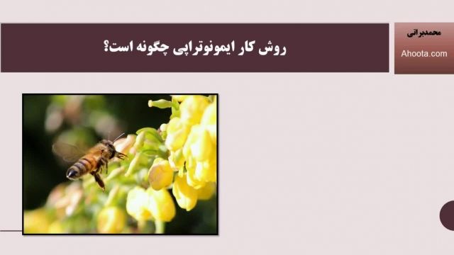 درمان حساسیت به نیش زنبور