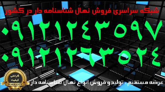 قیمت نهال گردوی پدرو شناسنامه دار  / 09121263524 - 09121243597