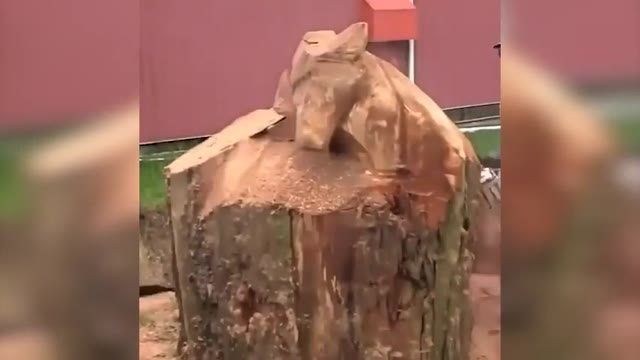 هنرمندی که با استفاده از اره برقی مجسمه چوبی زیبایی می سازد