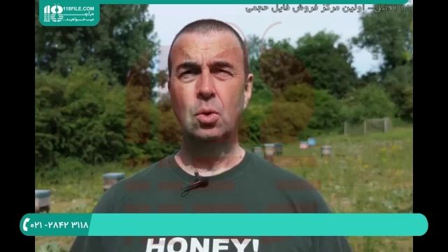 آموزش زنبورداری جامع و کامل | ویروس فلج زنبور