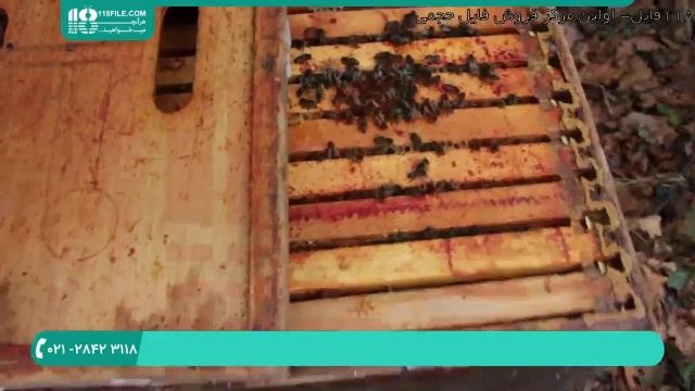 آموزش زنبورداری مدرن _ 118فایل|09130919448