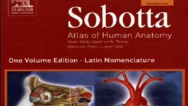 كتاب Atlas of Human Anatomy Sobotta V1 آناتومي زوبوتا جلد اول زبان اصلي