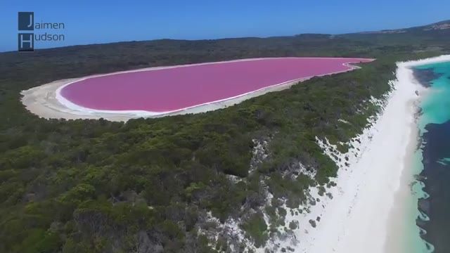دریاچه صورتی هیلیر در سواحل جنوبی استرالیا
