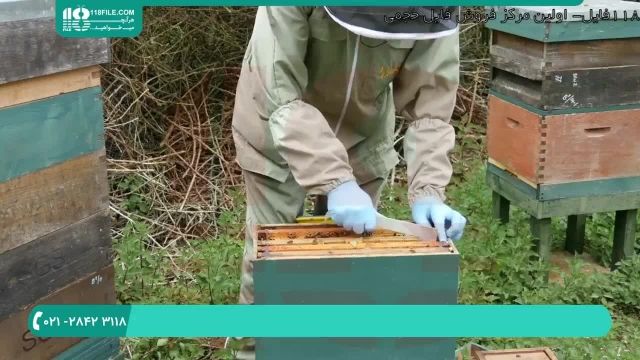 دانلود رایگان فیلم آموزش زنبورداری