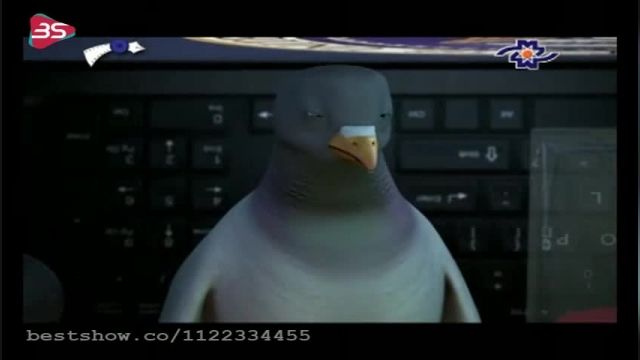 انیمیشن کبوتر غیرممکن 1