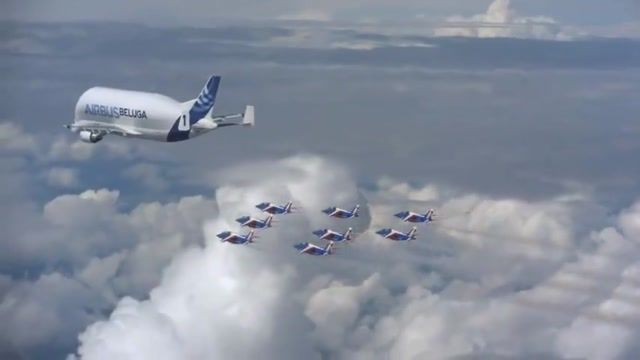 معرفی هواپیمای غول پیکر ایر باس به اسم بلوگا    - Beluga Airbus