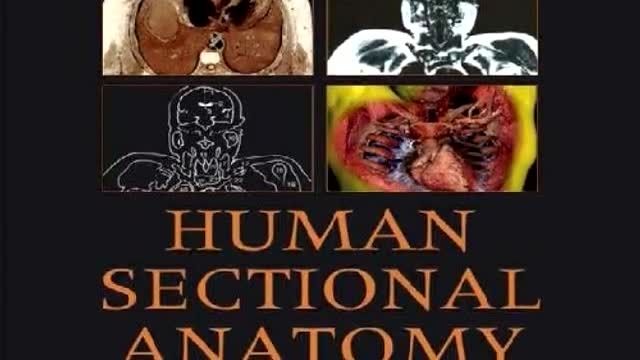 كتاب Human Sectional Anatomy زبان اصلي