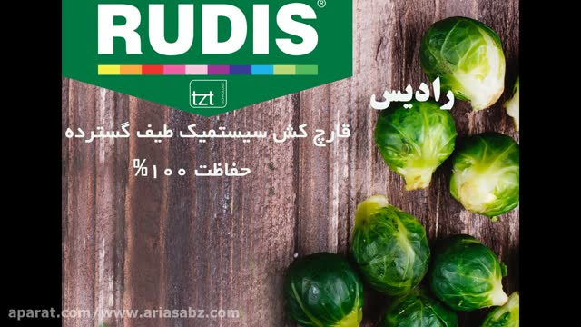 قارچ کش رادیس | RUDIS سد دفاعی محکم مزارع کلم 