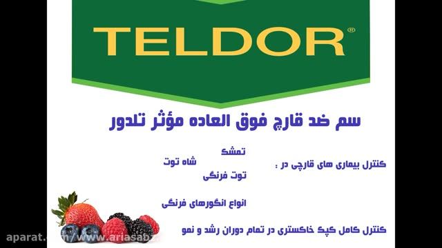 تلدور | teldor بهینه ترین قارچ کش خارجی تمشک