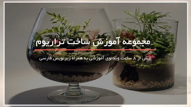 پکیج آموزش کامل ساخت تراریوم-باغ شیشه ای-آکواریوم گیاهی