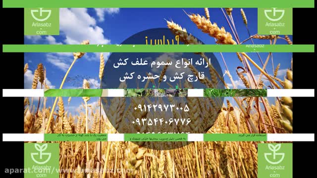 علف کش هاترا | Hatra | علف کش حرفه ای بسیار قوی برای مزارع گندم زمستانه