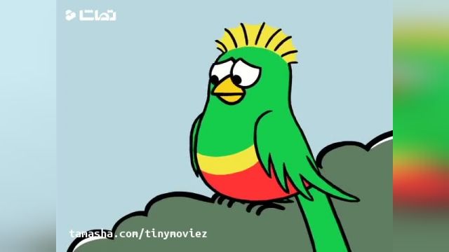دانلود کارتون زیبای (دنیای پیپ و بیگ) قسمت: معرفی پرنده جدید