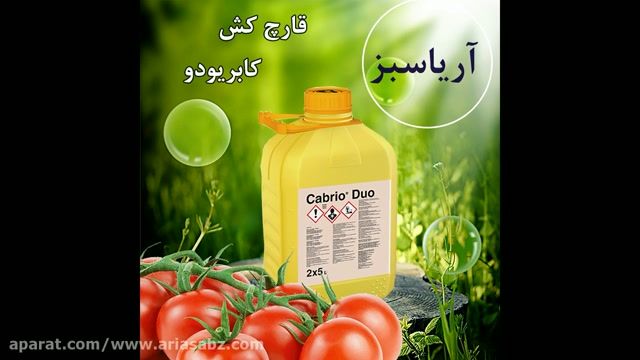 Cabrio Duo | کابریودو | بهترین قارچ کش خارجی مزارع گوجه فرنگی