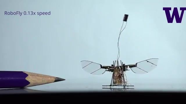 ساخت میکروربات «RoboFly»با قابلیت پرواز  بدون نیاز به اتصال سخت‌افزاری 