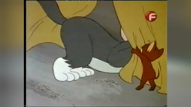 انیمیشن تام و جری (موش و گربه) قسمت 210