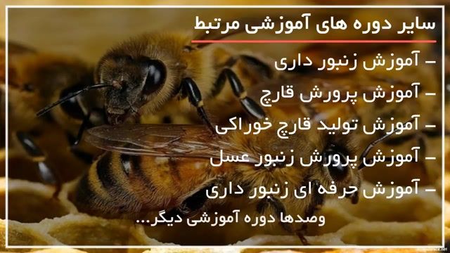 کارآفرینی با پرورش زنبورعسل