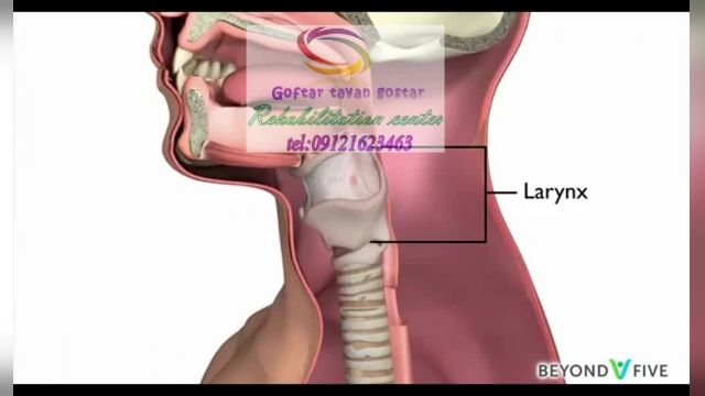   کلینیک گفتاردرمانی در کرج 02634471795،  عظیمیه میدان مهران  بوستان 2