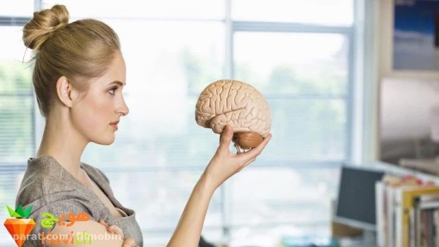 10 راز  جالب درباره ی عملکرد مغز زنان که بهتر است بدانید 