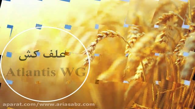 خرید بهترین علف کش مزارع گندم | Atlantis WG | آتلانتیس دبلیوجی