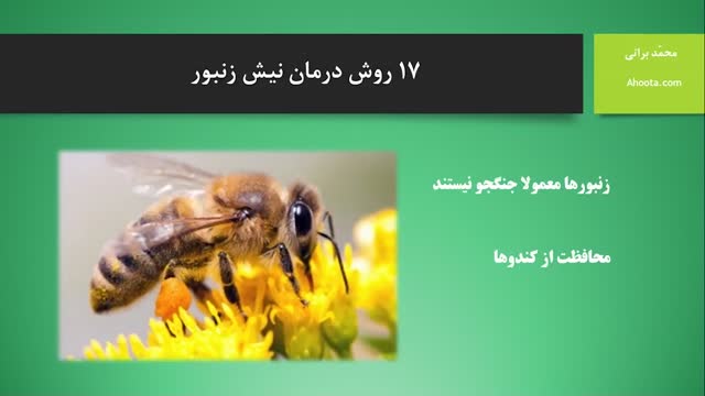 درمان سریع نیش زنبور عسل در خانه