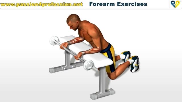 فیلم آموزش حرکات بدنسازی - حرکات بدنسازی _Forearm Exercises : Wrist Curls