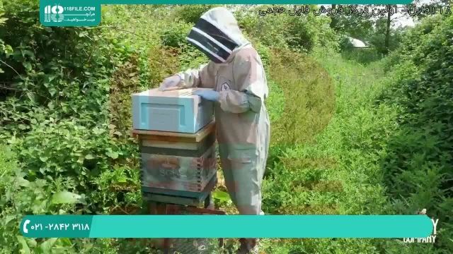 آموزش کامل زنبورداری از صفر تا 100 در 118فایل
