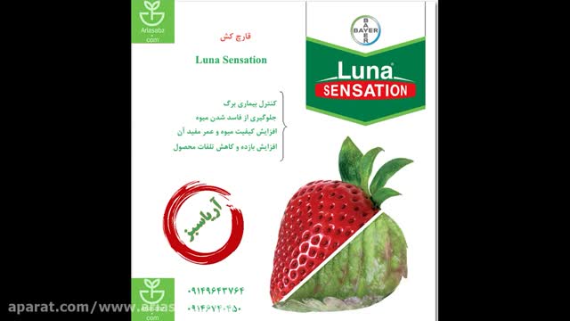 Luna Sensation | لوناسنسیشن | بهترین قارچ کش خارجی توت فرنگی گلخانه ای