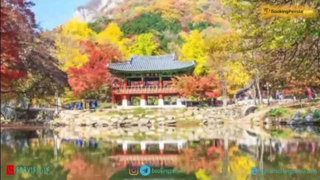  کره جنوبی، کشور جنگل های زیبا و افسانه های ماندگار- بوکینگ پرشیا bookingpersia