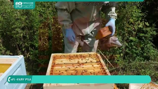 بهترین فیلم های آموزش زنبورداری پرورش زنبور عسل - قسمت 1