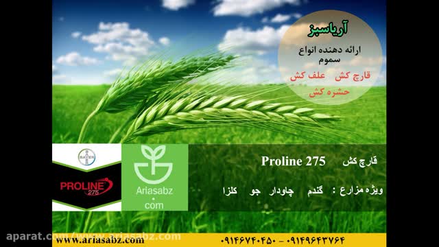 Proline 275 | قویترین قارچ کش مزارع غله و کلزا